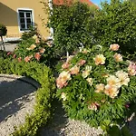 Landgut Zur Mühle Aparthotel 4*