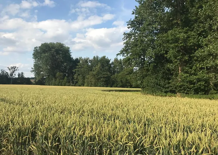 Landgut Zur Muehle Lejlighedshotel Dorfen