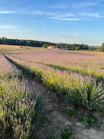 Lejlighedshotel Landgut Zur Muehle Dorfen