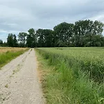 מלון דירות Landgut Zur Muehle דורפן
