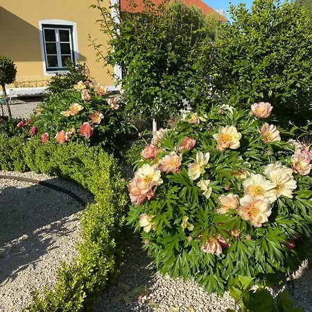 Landgut Zur Mühle Apartahotel 4*