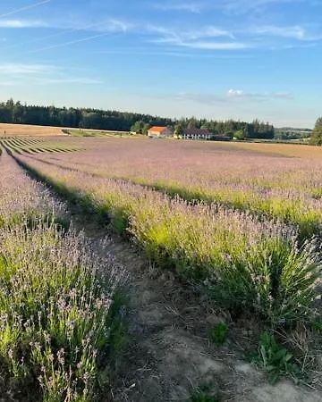 Apartahotel Landgut Zur Mühle Dorfen