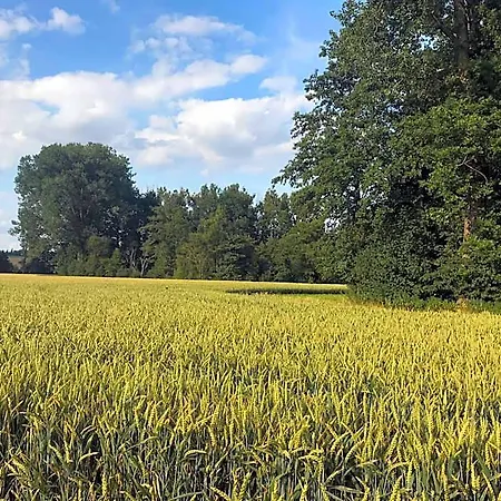 Landgut Zur Mühle Apartahotel 4*