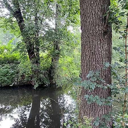 Apartahotel Landgut Zur Mühle 4*