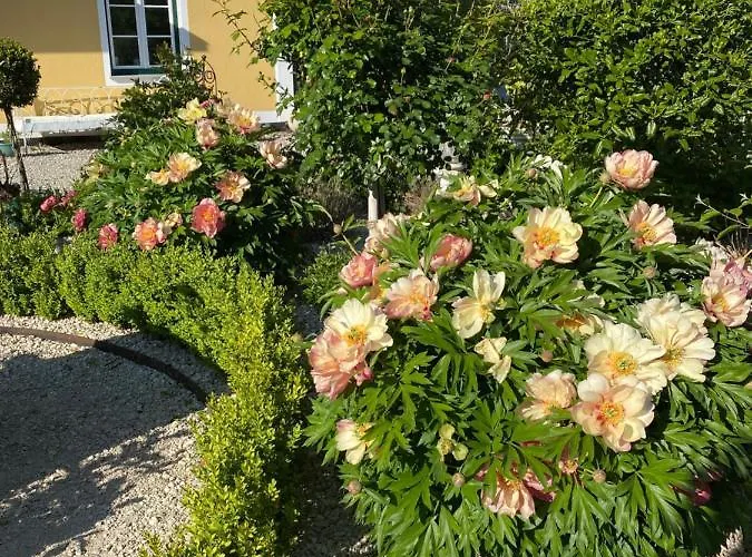 Landgut Zur Mühle Aparthotel 4*